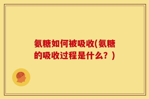 氨糖如何被吸收(氨糖的吸收过程是什么？)