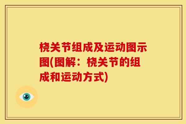 桡关节组成及运动图示图(图解：桡关节的组成和运动方式)