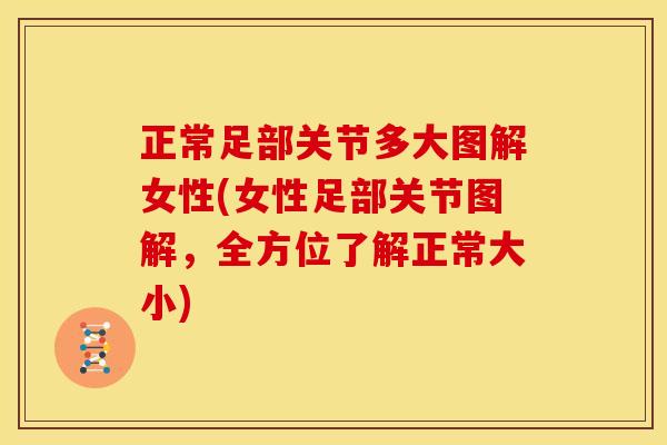 正常足部关节多大图解女性(女性足部关节图解，全方位了解正常大小)