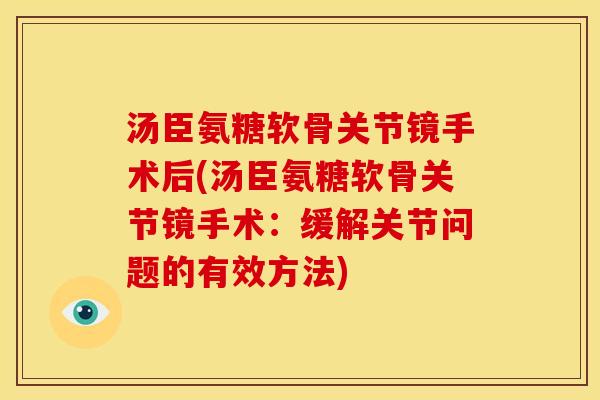 汤臣氨糖软骨关节镜手术后(汤臣氨糖软骨关节镜手术：缓解关节问题的有效方法)