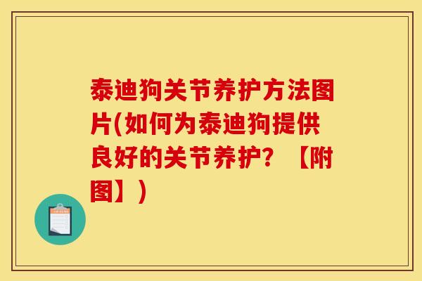 泰迪狗关节养护方法图片(如何为泰迪狗提供良好的关节养护？【附图】)