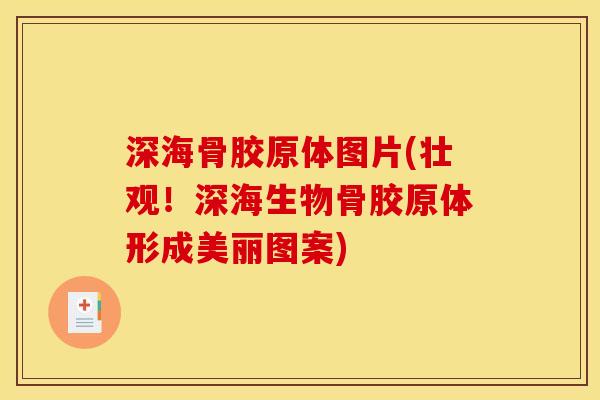 深海骨胶原体图片(壮观！深海生物骨胶原体形成美丽图案)