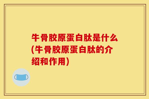 牛骨胶原蛋白肽是什么(牛骨胶原蛋白肽的介绍和作用)