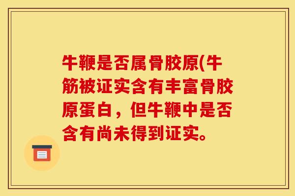 牛鞭是否属骨胶原(牛筋被证实含有丰富骨胶原蛋白，但牛鞭中是否含有尚未得到证实。