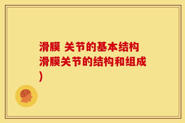 滑膜 关节的基本结构滑膜关节的结构和组成)