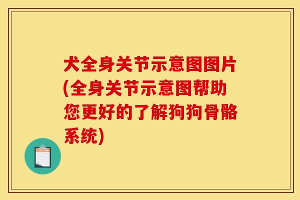 犬全身关节示意图图片(全身关节示意图帮助您更好的了解狗狗骨骼系统)