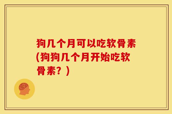 狗几个月可以吃软骨素(狗狗几个月开始吃软骨素？)
