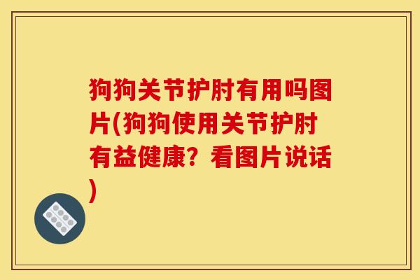 狗狗关节护肘有用吗图片(狗狗使用关节护肘有益健康？看图片说话)