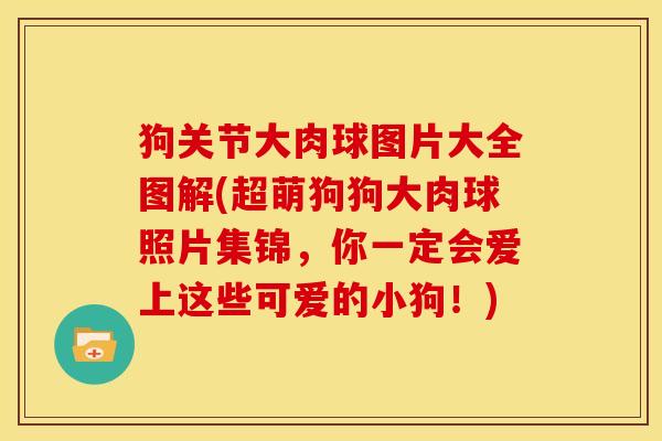 狗关节大肉球图片大全图解(超萌狗狗大肉球照片集锦，你一定会爱上这些可爱的小狗！)
