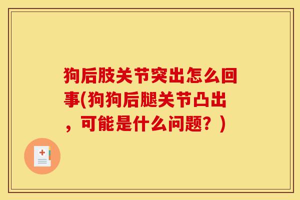 狗后肢关节突出怎么回事(狗狗后腿关节凸出，可能是什么问题？)