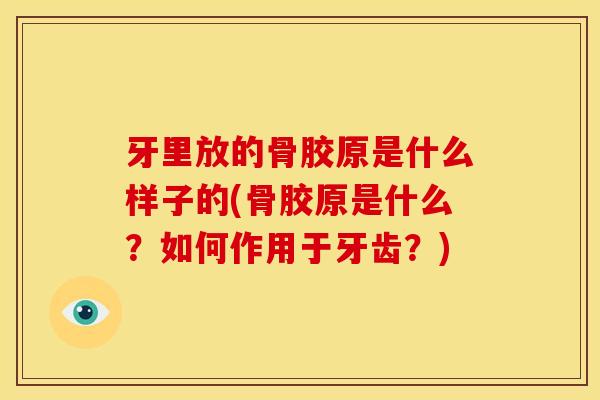 牙里放的骨胶原是什么样子的(骨胶原是什么？如何作用于牙齿？)