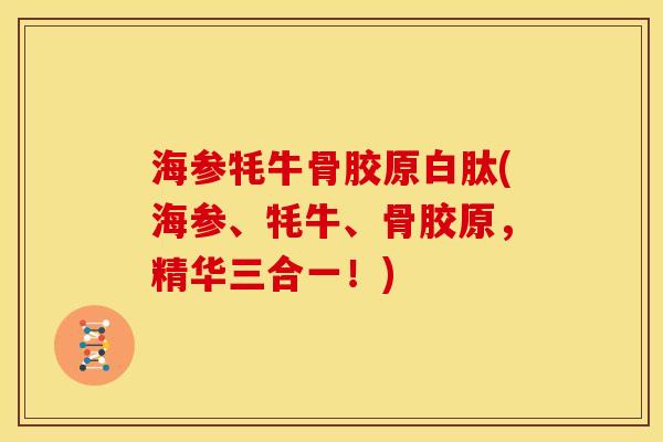 海参牦牛骨胶原白肽(海参、牦牛、骨胶原，精华三合一！)