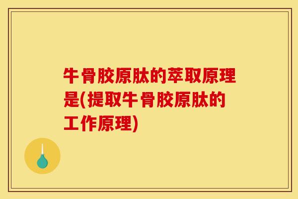 牛骨胶原肽的萃取原理是(提取牛骨胶原肽的工作原理)