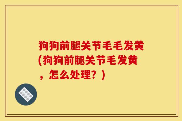 狗狗前腿关节毛毛发黄(狗狗前腿关节毛发黄，怎么处理？)
