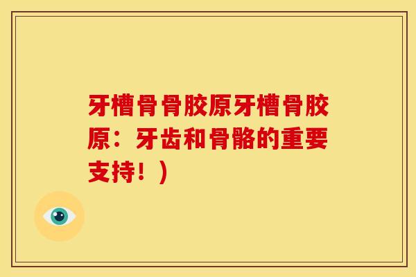 牙槽骨骨胶原牙槽骨胶原：牙齿和骨骼的重要支持！)