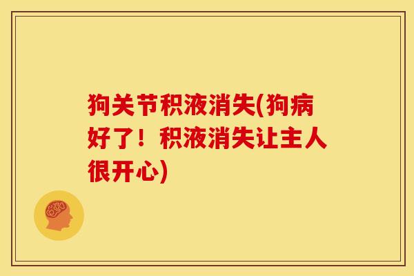 狗关节积液消失(狗病好了！积液消失让主人很开心)