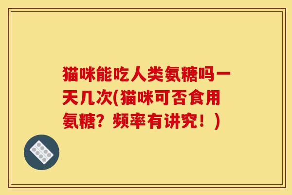 猫咪能吃人类氨糖吗一天几次(猫咪可否食用氨糖？频率有讲究！)