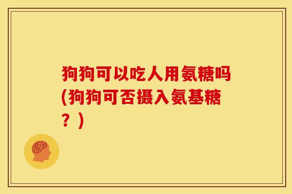 狗狗可以吃人用氨糖吗(狗狗可否摄入氨基糖？)