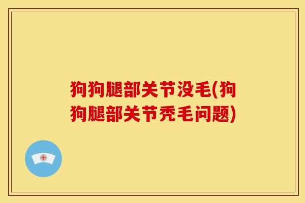 狗狗腿部关节没毛(狗狗腿部关节秃毛问题)-第1张图片-关节骑士 狗狗腿部关节没毛(狗狗腿部关节秃毛问题)-第1张图片-关节骑士