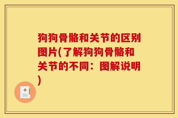 狗狗骨骼和关节的区别图片(了解狗狗骨骼和关节的不同：图解说明)