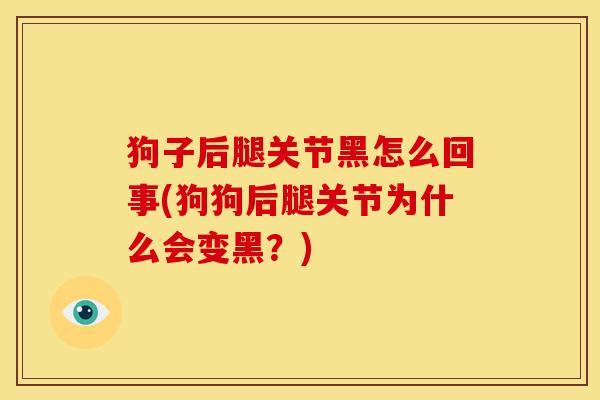 狗子后腿关节黑怎么回事(狗狗后腿关节为什么会变黑？)