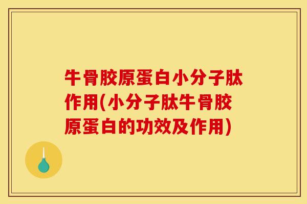 牛骨胶原蛋白小分子肽作用(小分子肽牛骨胶原蛋白的功效及作用)