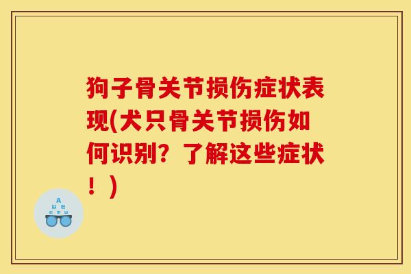 狗子骨关节损伤症状表现(犬只骨关节损伤如何识别？了解这些症状！)
