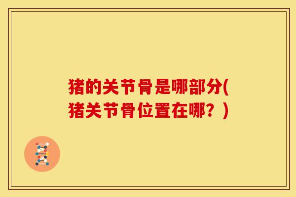 猪的关节骨是哪部分(猪关节骨位置在哪？)