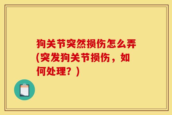 狗关节突然损伤怎么弄(突发狗关节损伤，如何处理？)-第1张图片-关节骑士