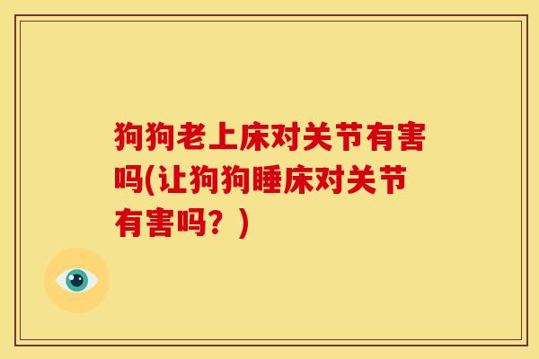 狗狗老上床对关节有害吗(让狗狗睡床对关节有害吗？)