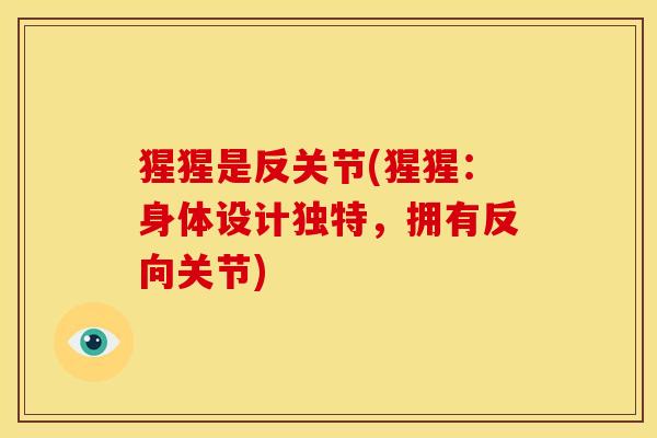 猩猩是反关节(猩猩：身体设计独特，拥有反向关节)