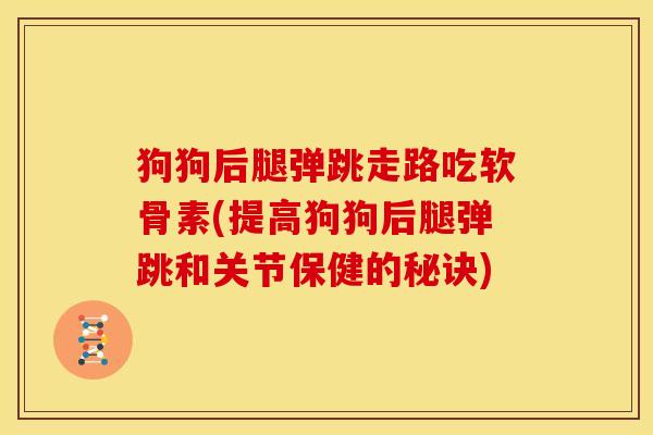 狗狗后腿弹跳走路吃软骨素(提高狗狗后腿弹跳和关节保健的秘诀)