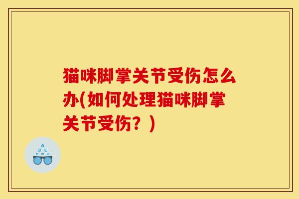 猫咪脚掌关节受伤怎么办(如何处理猫咪脚掌关节受伤？)