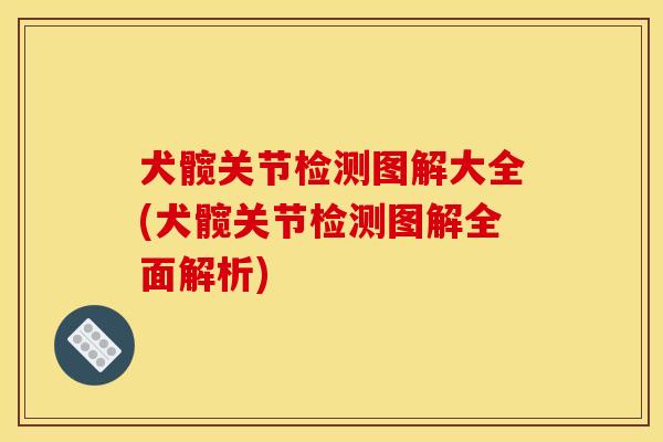 犬髋关节检测图解大全(犬髋关节检测图解全面解析)