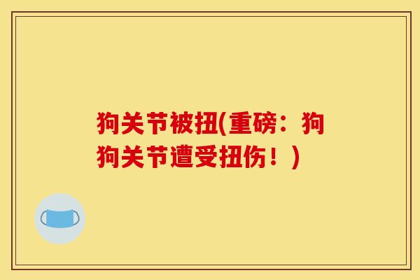 狗关节被扭(重磅：狗狗关节遭受扭伤！)