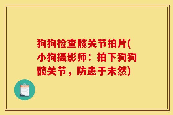 狗狗检查髋关节拍片(小狗摄影师：拍下狗狗髋关节，防患于未然)