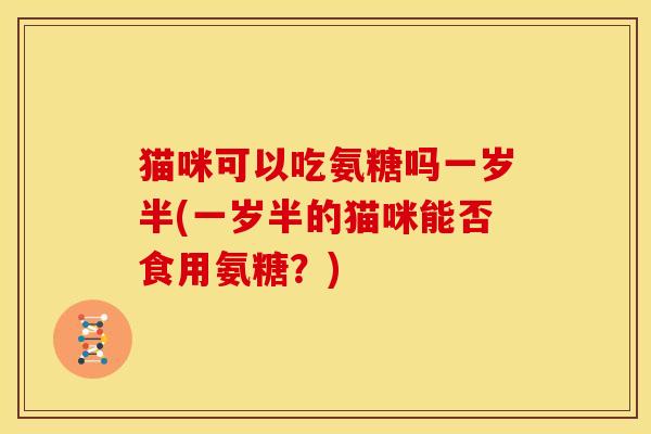 猫咪可以吃氨糖吗一岁半(一岁半的猫咪能否食用氨糖？)