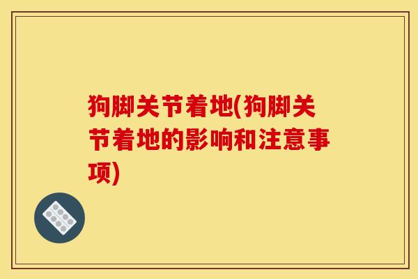 狗脚关节着地(狗脚关节着地的影响和注意事项)