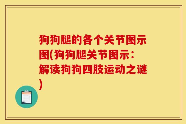 狗狗腿的各个关节图示图(狗狗腿关节图示：解读狗狗四肢运动之谜)