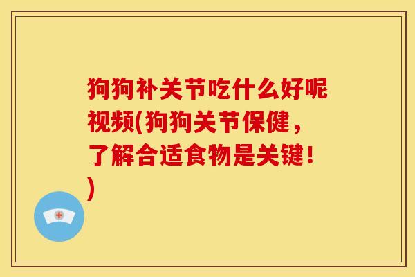 狗狗补关节吃什么好呢视频(狗狗关节保健，了解合适食物是关键！)
