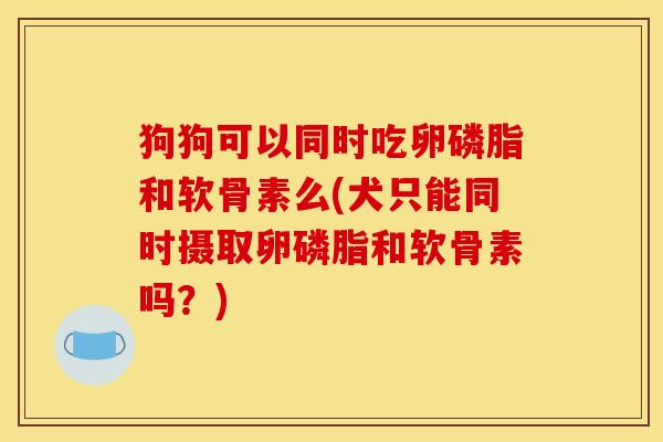 狗狗可以同时吃卵磷脂和软骨素么(犬只能同时摄取卵磷脂和软骨素吗？)