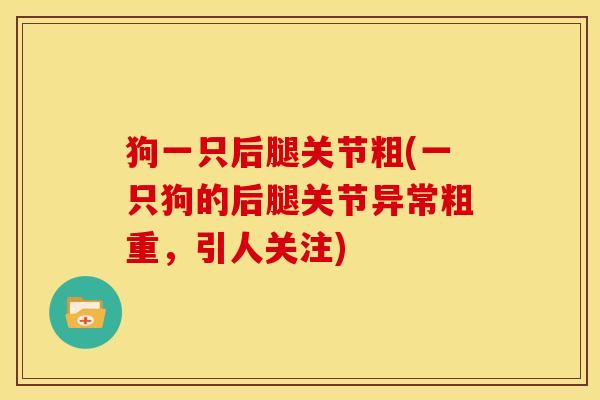 狗一只后腿关节粗(一只狗的后腿关节异常粗重，引人关注)