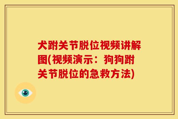 犬跗关节脱位视频讲解图(视频演示：狗狗跗关节脱位的急救方法)