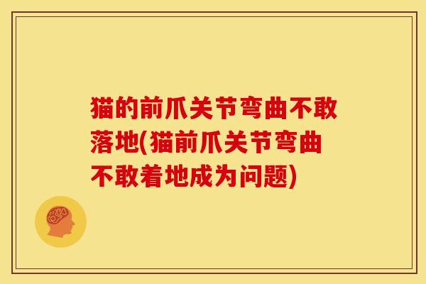 猫的前爪关节弯曲不敢落地(猫前爪关节弯曲不敢着地成为问题)