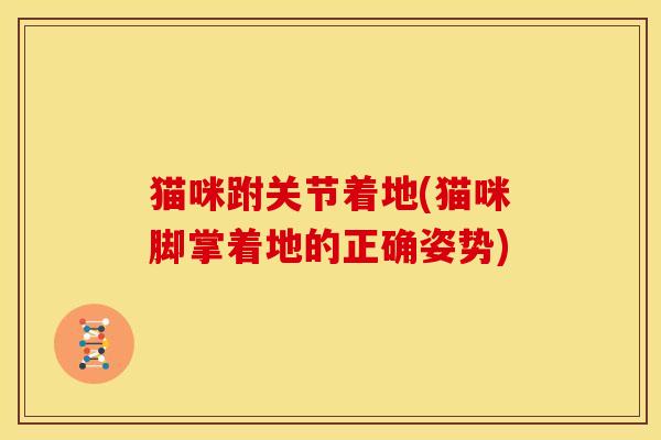 猫咪跗关节着地(猫咪脚掌着地的正确姿势)