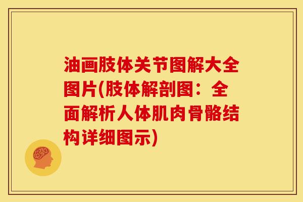 油画肢体关节图解大全图片(肢体解剖图：全面解析人体肌肉骨骼结构详细图示)