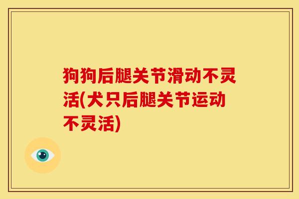 狗狗后腿关节滑动不灵活(犬只后腿关节运动不灵活)