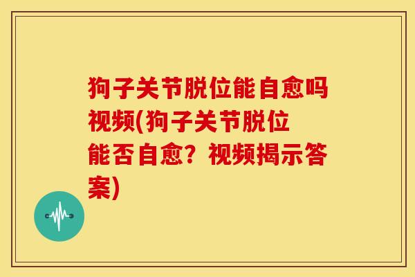 狗子关节脱位能自愈吗视频(狗子关节脱位 能否自愈？视频揭示答案)