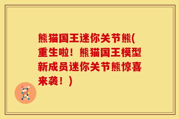 熊猫国王迷你关节熊(重生啦！熊猫国王模型新成员迷你关节熊惊喜来袭！)