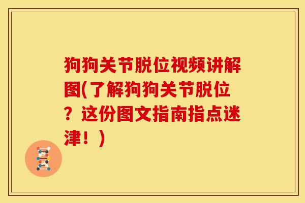 狗狗关节脱位视频讲解图(了解狗狗关节脱位？这份图文指南指点迷津！)